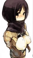 attack_on_titan_-_mikasa_20130914_072.jpg